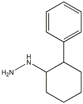 1-(2-phenylcyclohexyl)hydrazine Struktur