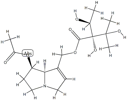 UPLANDICINE Struktur