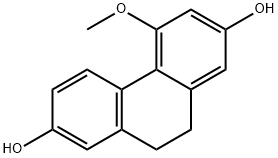 Coelonin|COELONIN