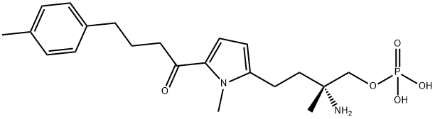 CS-0777-P Struktur