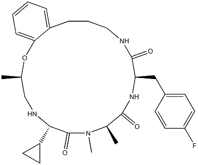 TZP 101 Struktur