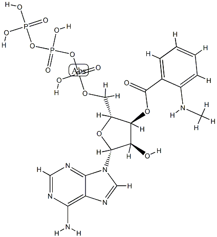 3'-O-(N-methylanthraniloyl) ATP Struktur