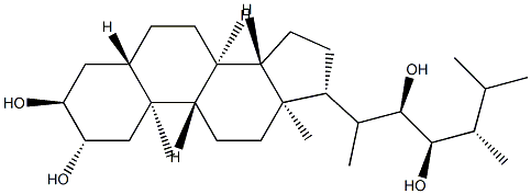 (22R,23R,24S)-5α-エルゴスタン-2α,3α,22,23-テトラオール 化學構(gòu)造式