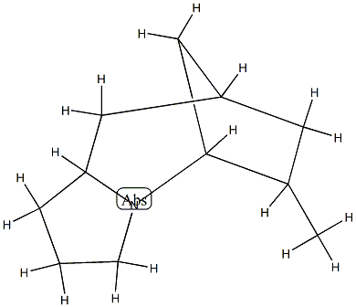 5,8-Methano-1H-pyrrolo[1,2-a]azepine,octahydro-6-methyl-(9CI) Struktur