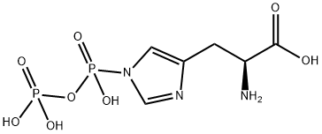 pyrophosphohistidine Struktur