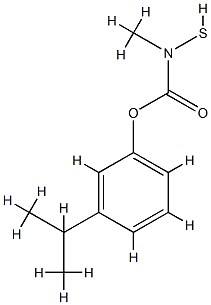 (3-propan-2-ylphenyl) N-methyl-N-sulfanyl-carbamate Struktur