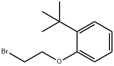 1-(2-bromoethoxy)-2-tert-butylbenzene Struktur