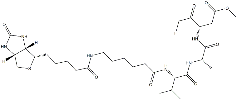 CASPASE INHIBITOR I, BIOTIN CONJUGATE Struktur