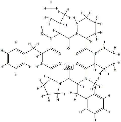 L 156373 Struktur