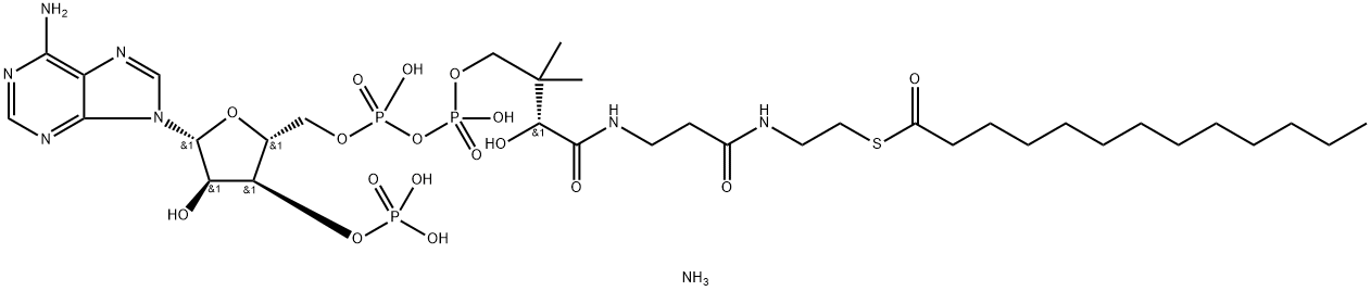 tridecanoyl CoenzyMe A (aMMoniuM salt) Struktur