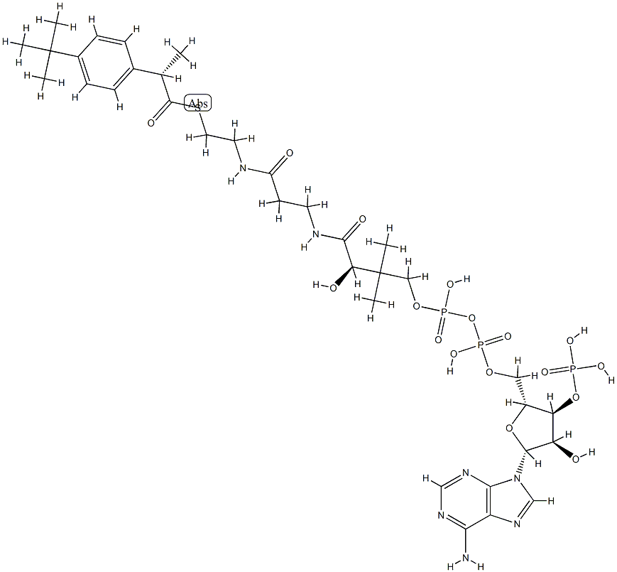 ibuprofenyl-coenzyme A Struktur