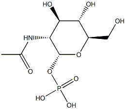 poly(N-acetylglucosamine 1-phosphate) Struktur