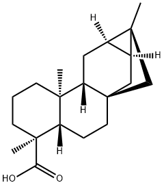 trachyloban-19-oic acid Struktur