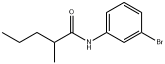 N-(3-bromophenyl)-2-methylpentanamide Struktur