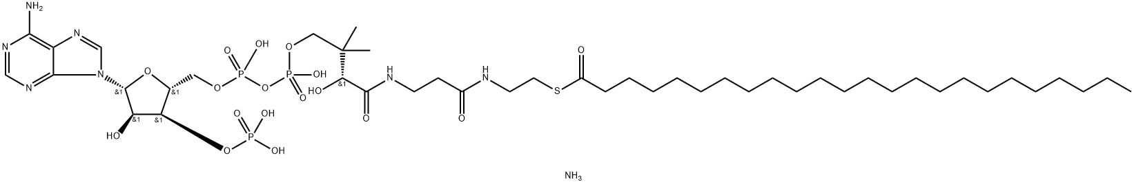 lignoceroyl CoenzyMe A (aMMoniuM salt) Struktur