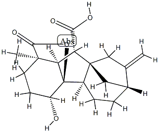 4β,4aα-Dihydroxy-1β-methyl-8-methylenegibbane-1α,10β-dicarboxylic acid 1,4a-lactone Struktur