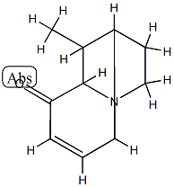 1,5-Methanoindolizin-6(5H)-one,1,2,3,8a-tetrahydro-9-methyl-,(1-alpha-,5-alpha-,8a-bta-,9R*)-(9CI) Struktur