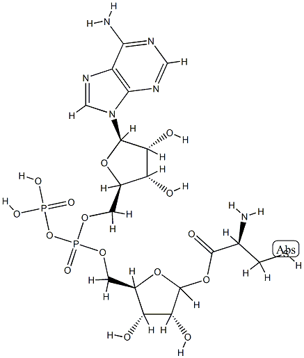 ADP-ribosylcysteine Struktur