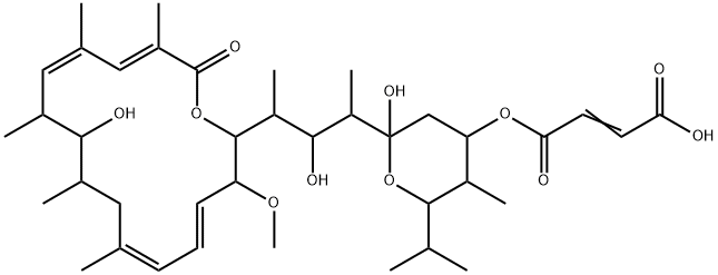 TS 155-2 Struktur