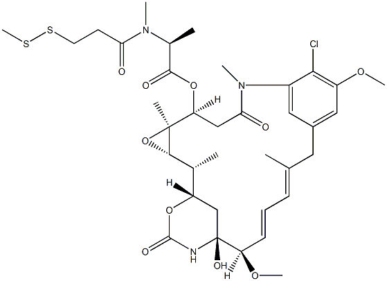 DM1-Sme Struktur