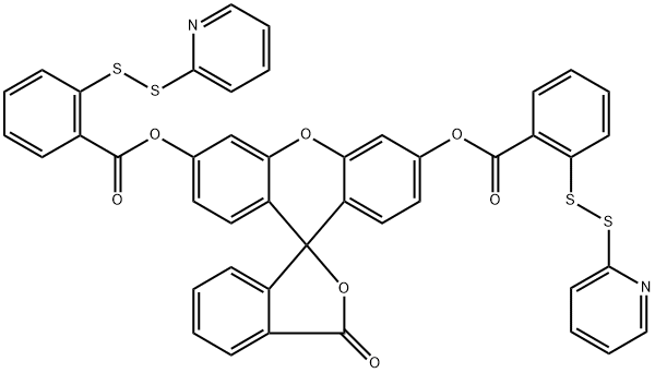 WSP-5 Struktur