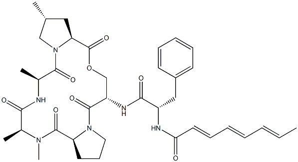 A 54556A Struktur