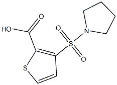 3-(pyrrolidin-1-ylsulfonyl)thiophene-2-carboxylic acid Struktur