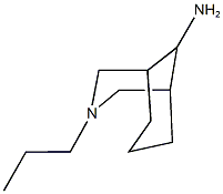 3-propyl-3-azabicyclo[3.3.1]nonan-9-amine Struktur