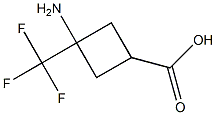  化學(xué)構(gòu)造式