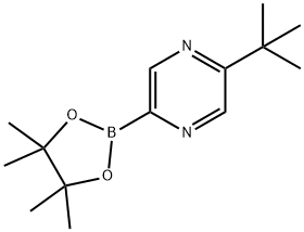 2-(tert-butyl)-5-(4,4,5,5-tetramethyl-1,3,2-dioxaborolan-2-yl)pyrazine Struktur