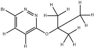 3-Bromo-6-(tert-butoxy)pyridazine-d11 Struktur