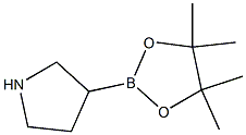 3-(4,4,5,5-tetramethyl-1,3,2-dioxaborolan-2-yl)pyrrolidine Struktur