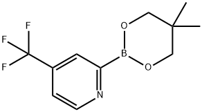 4-Trifluoromethylpyridine-2-boronic acid neopentylglycol ester Struktur