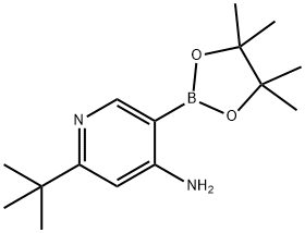 2-(tert-butyl)-5-(4,4,5,5-tetramethyl-1,3,2-dioxaborolan-2-yl)pyridin-4-amine Struktur