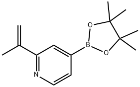 2-(prop-1-en-2-yl)-4-(4,4,5,5-tetramethyl-1,3,2-dioxaborolan-2-yl)pyridine Struktur