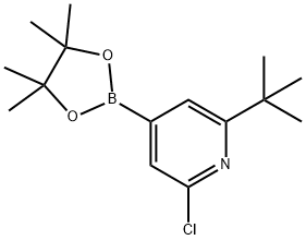 2-(tert-butyl)-6-chloro-4-(4,4,5,5-tetramethyl-1,3,2-dioxaborolan-2-yl)pyridine Struktur