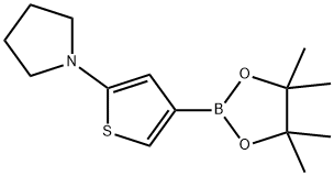 2-(Pyrrolidino)thiophene-4-boronic acid pinacol ester Struktur