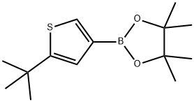 2-(tert-Butyl)thiophene-4-boronic acid pinacol ester Struktur