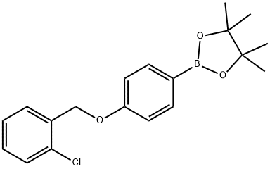 1,3,2-Dioxaborolane, 2-[4-[(2-chlorophenyl)methoxy]phenyl]-4,4,5,5-tetramethyl- Struktur