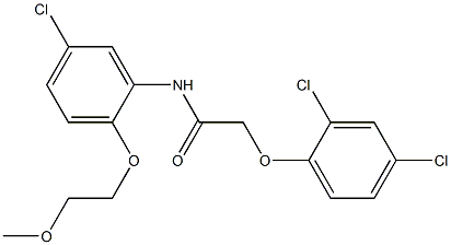 N-[5-chloro-2-(2-methoxyethoxy)phenyl]-2-(2,4-dichlorophenoxy)acetamide Struktur