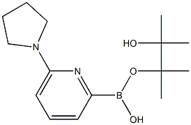 6-(PYRROLIDIN-1-YL)PYRIDINE-2-BORONIC ACID PINACOL ESTER Struktur