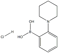 2-(Piperdino)phenylboronic acid HCl Struktur