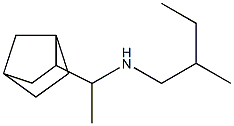 (1-{bicyclo[2.2.1]heptan-2-yl}ethyl)(2-methylbutyl)amine Struktur