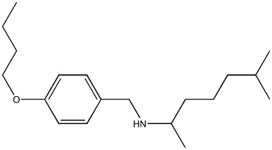 [(4-butoxyphenyl)methyl](6-methylheptan-2-yl)amine Struktur