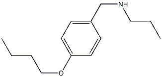 [(4-butoxyphenyl)methyl](propyl)amine Struktur