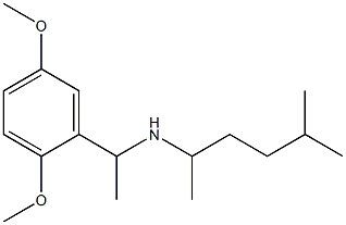 [1-(2,5-dimethoxyphenyl)ethyl](5-methylhexan-2-yl)amine Struktur