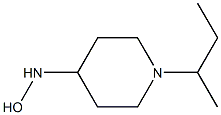 1-(butan-2-yl)piperidine-4-hydroxylamine Struktur