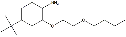 2-(2-butoxyethoxy)-4-tert-butylcyclohexan-1-amine Struktur