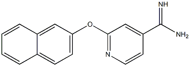 2-(2-naphthyloxy)pyridine-4-carboximidamide Struktur