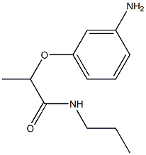 2-(3-aminophenoxy)-N-propylpropanamide Struktur